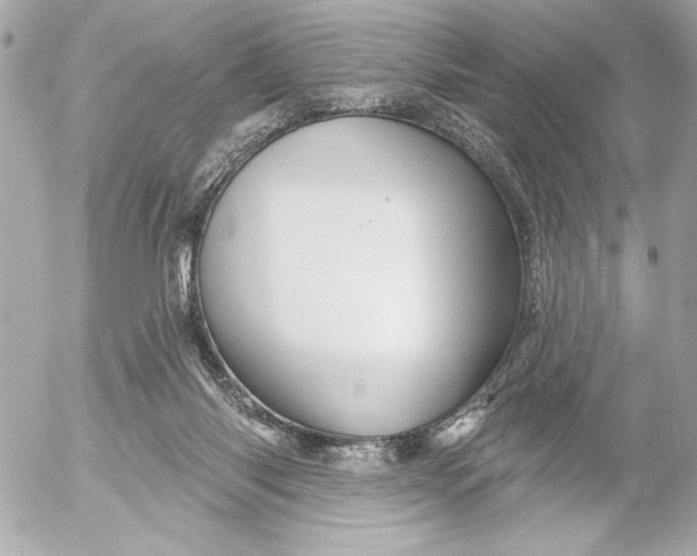 X0000054460118200508191712