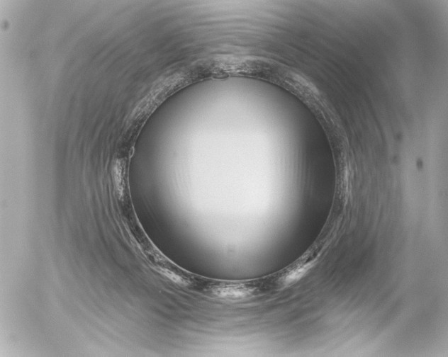 X0000054460121200508191712