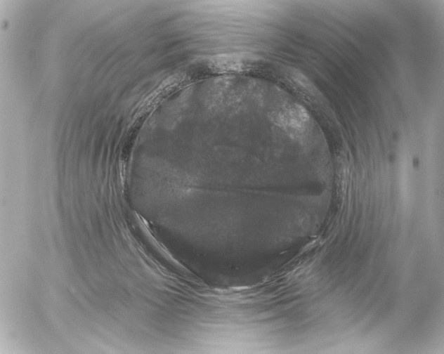 X0000054460125200508191712