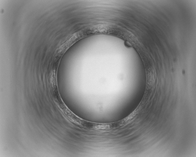 X0000054460126200508191712