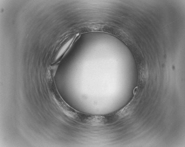 X0000054460128200508191712