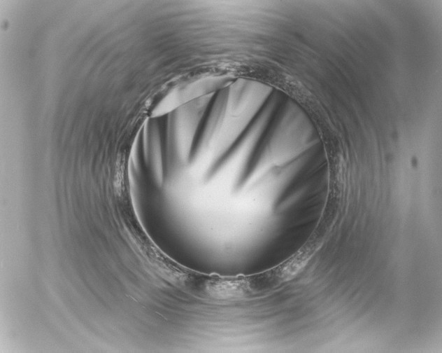 X0000054460129200508191712