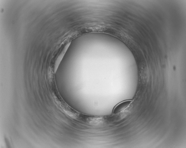 X0000054460132200508191712