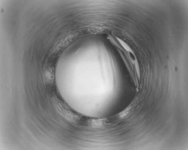 X0000054460134200508191712