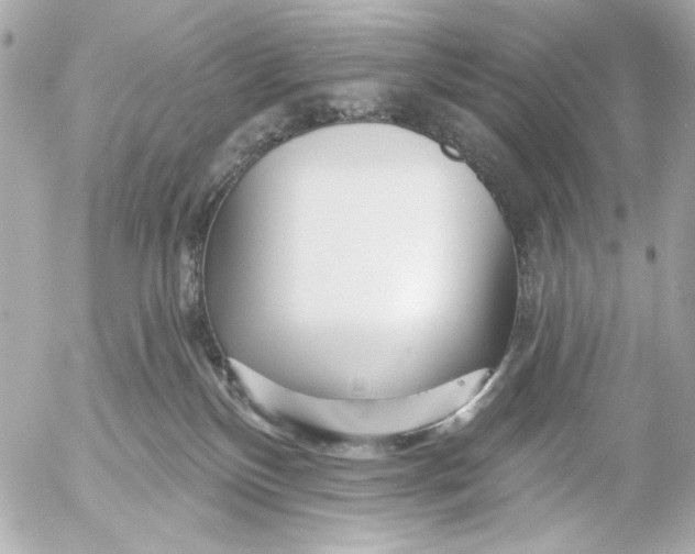 X0000054460136200508191712