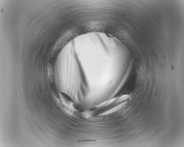 X0000054460138200508191712