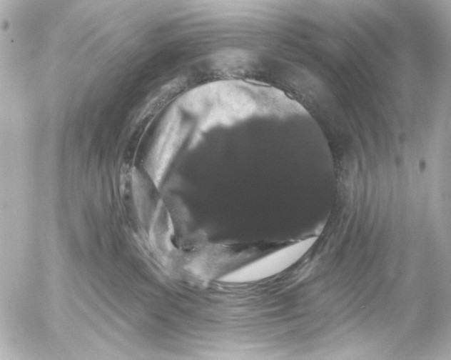X0000054460139200508191712