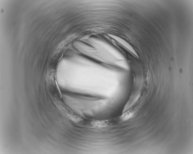 X0000054460141200508191712