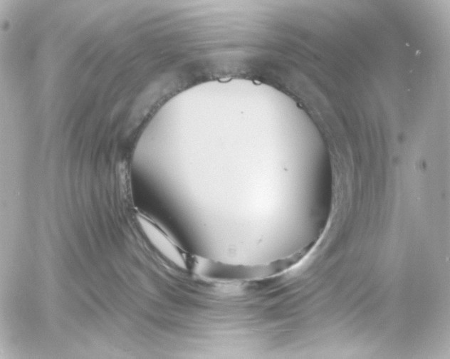 X0000054460144200508191712