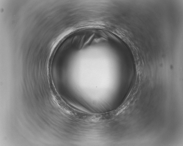 X0000054460148200508191711