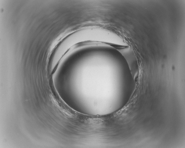 X0000054460150200508191711