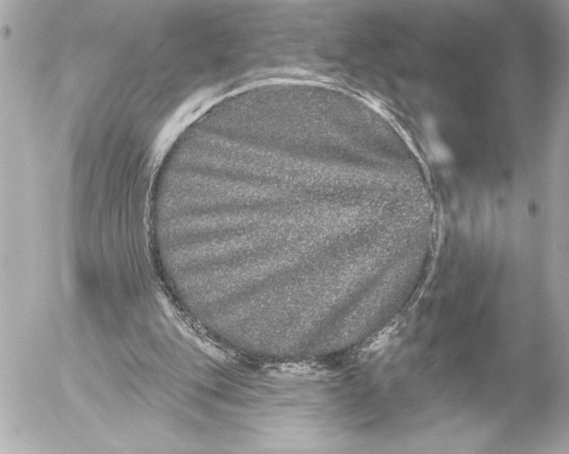 X0000054460151200508191711