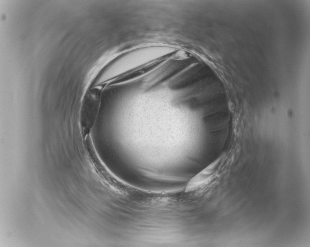 X0000054460152200508191711