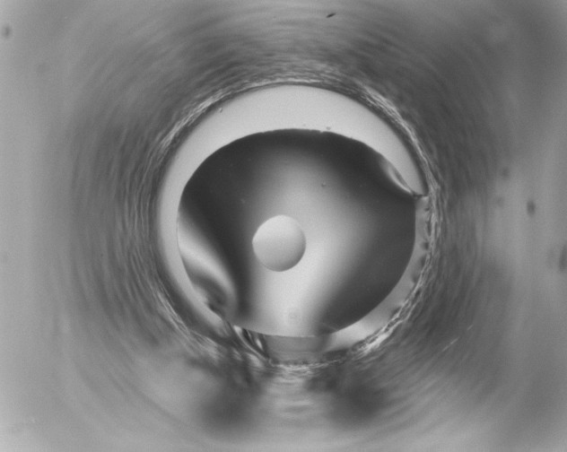 X0000054460154200508191711