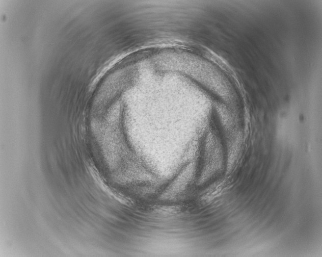 X0000054460155200508191711