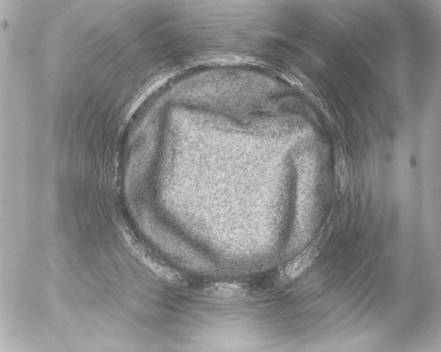 X0000054460159200508191711