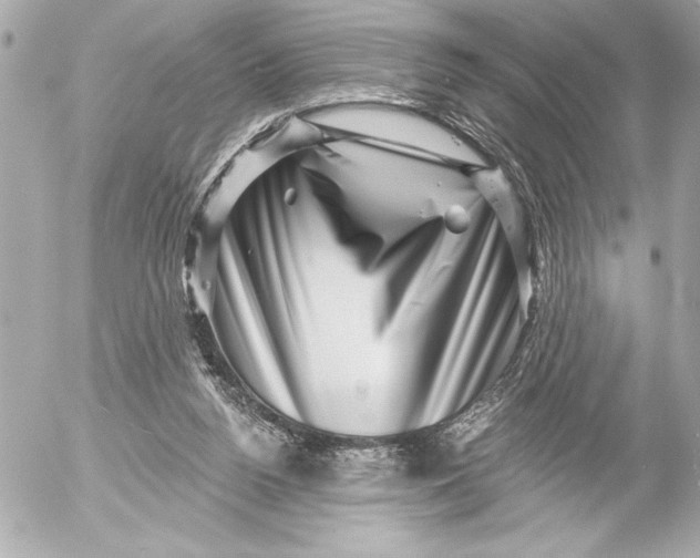 X0000054460160200508191711