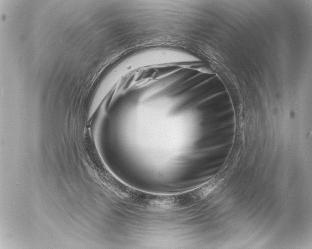 X0000054460164200508191711