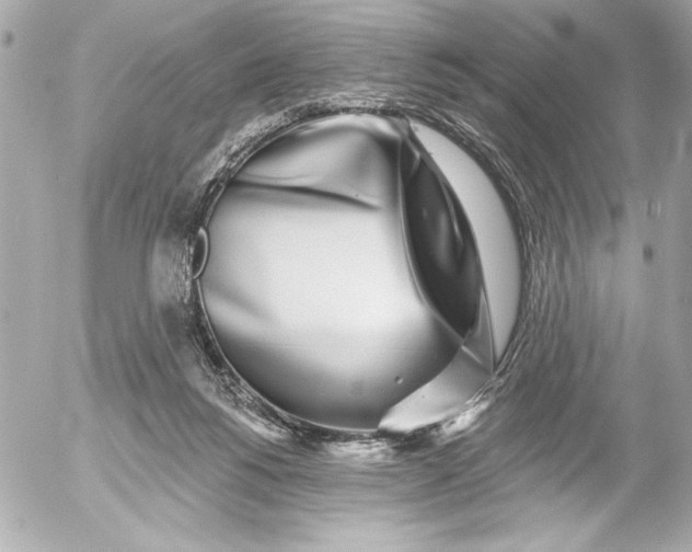 X0000054460168200508191711