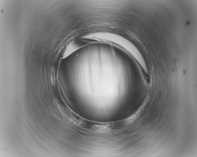 X0000054460170200508191711