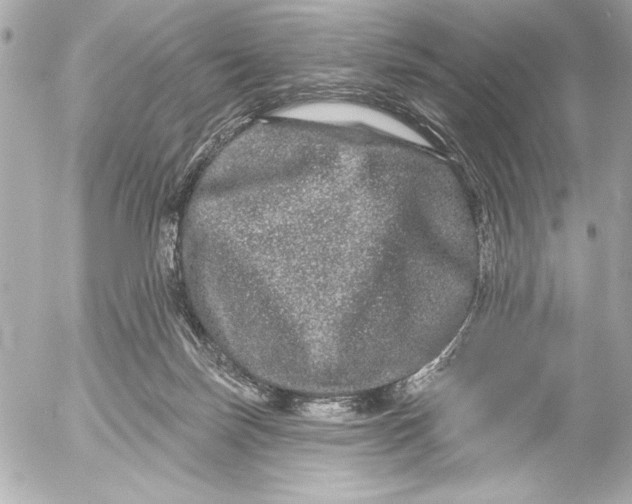X0000054460171200508191711