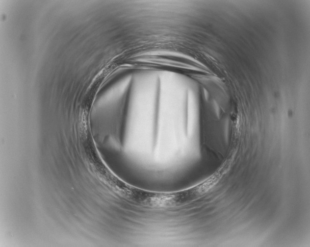 X0000054460172200508191711