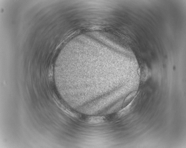 X0000054460179200508191711