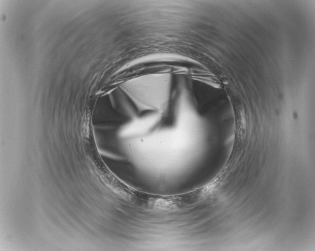 X0000054460180200508191711