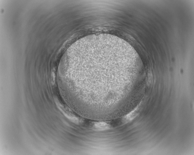 X0000054460183200508191712
