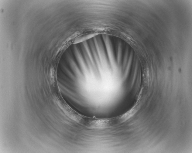 X0000054460184200508191712