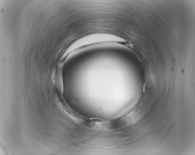 X0000054460188200508191712