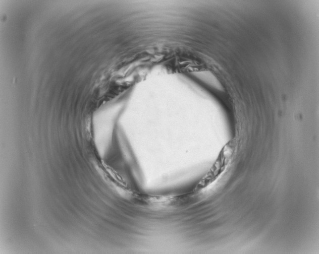 X0000054460192200508191712