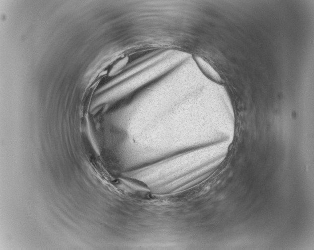 X0000054460194200508191711
