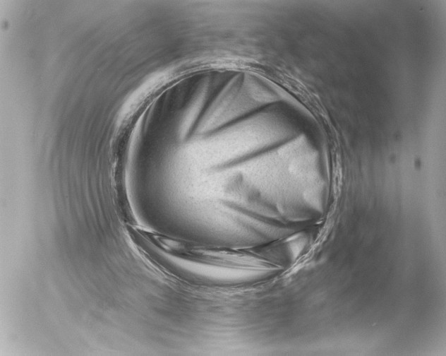 X0000054460197200508191711