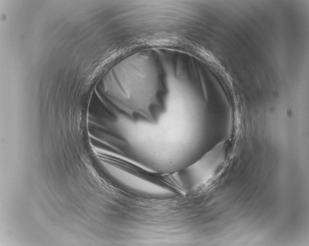 X0000054460201200508191711
