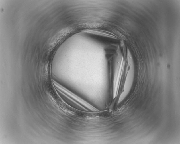 X0000054460206200508191711