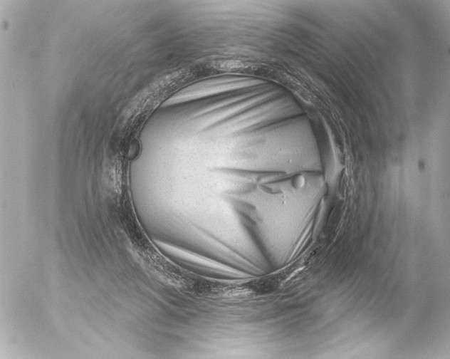 X0000054460210200508191711
