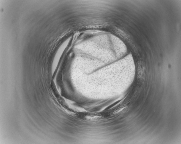 X0000054460211200508191711