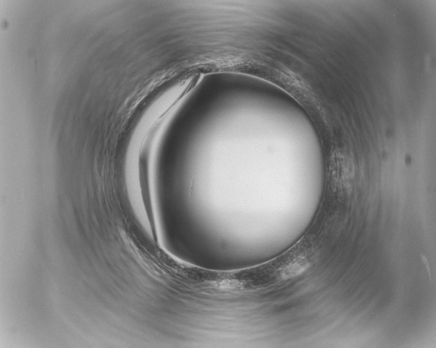 X0000054460212200508191711