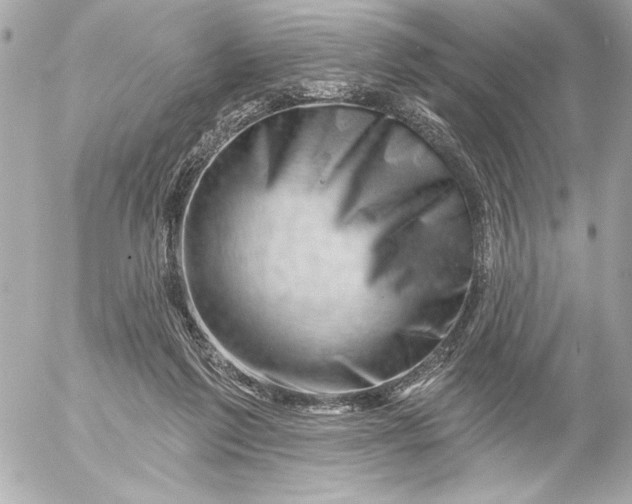 X0000054460213200508191711
