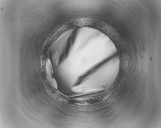 X0000054460214200508191711