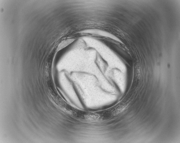X0000054460215200508191711