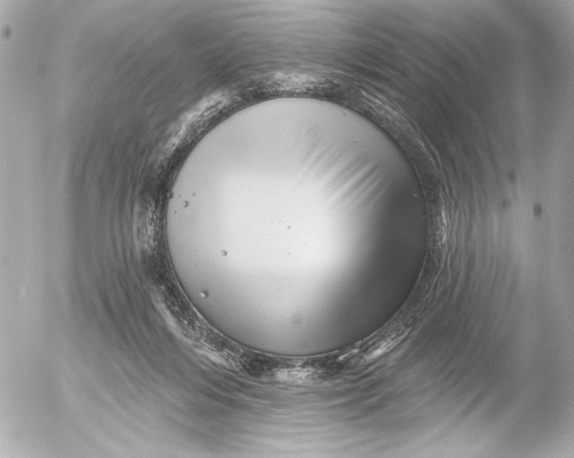 X0000054460216200508191711