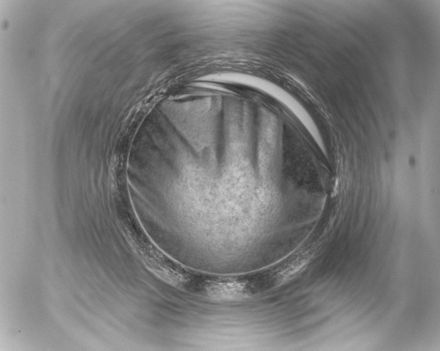 X0000054460217200508191710