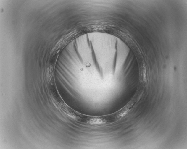 X0000054460218200508191710