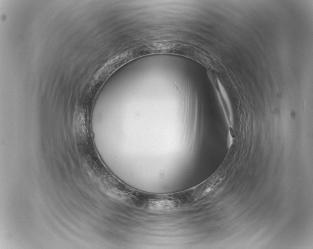 X0000054460220200508191710