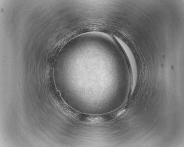 X0000054460221200508191710
