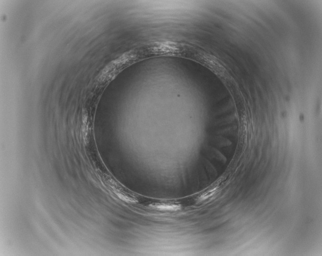 X0000054460223200508191710