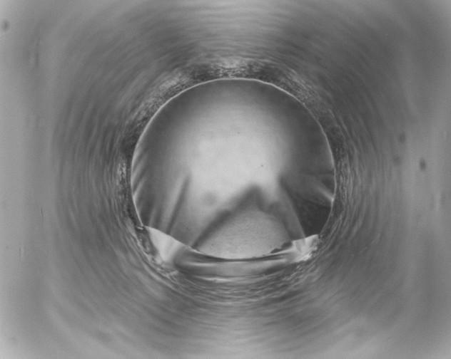 X0000054460225200508191710