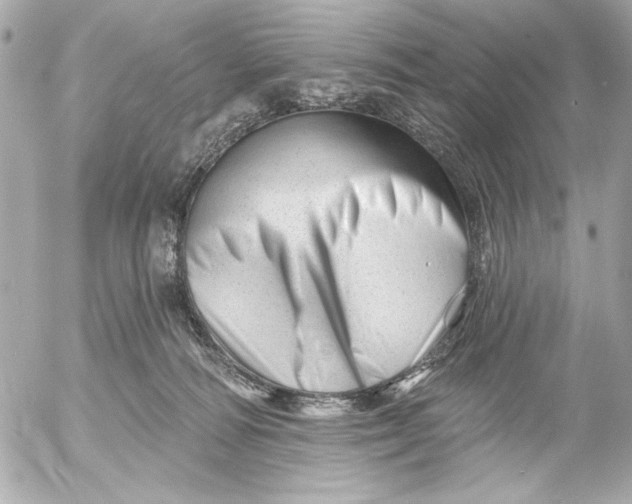 X0000054460226200508191710